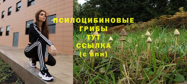 бутират Кодинск