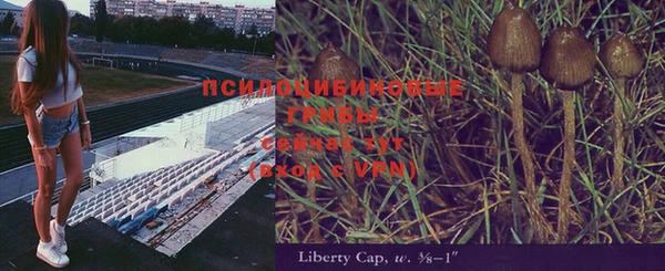 мет Козельск