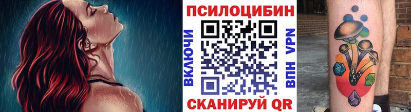 Псилоцибиновые грибы GOLDEN TEACHER  как найти закладки  Константиновск 