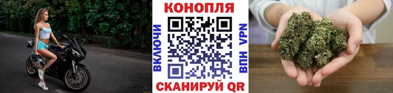 мега сайт  Константиновск  Бошки Шишки план 